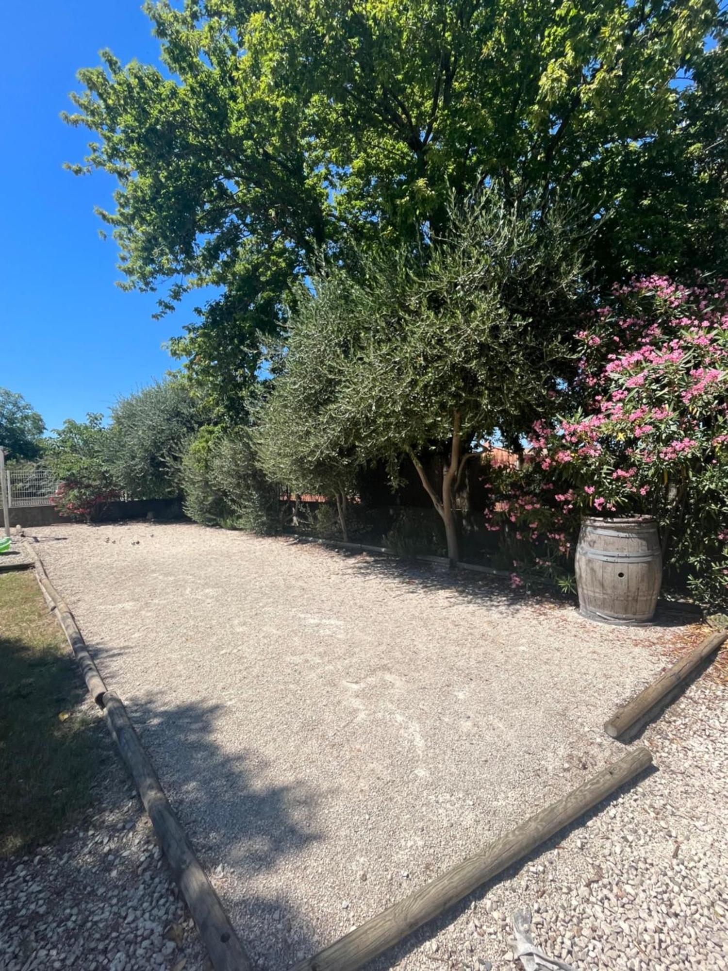 Studio Menthe-Clim-Terrain De Petanque-Piscine Collective 圣保罗三堡 外观 照片